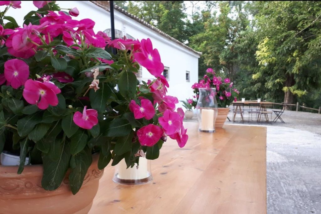 촛불이 놓인 나무 테이블에 분홍색 꽃을 화분으로 장식하고, 흰색 건물과 녹지를 배경으로 합니다.