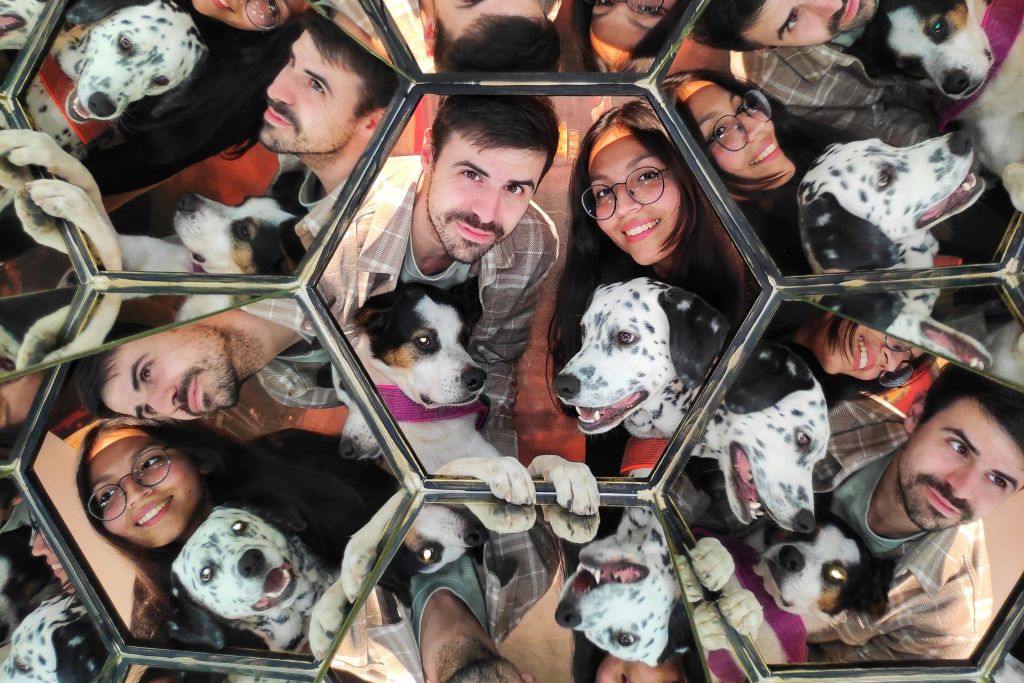 남자, 여자, 두 마리의 개가 미러링된 기하학적 구조에 여러 번 반사되어 만화경 효과를 냅니다.