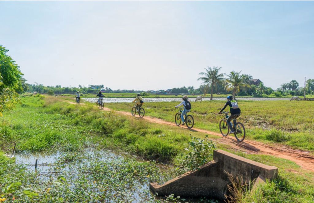 청명한 푸른 하늘 아래 녹음이 우거진 수로와 야자수가 늘어선 수로 옆의 흙길에서 자전거를 타는 사람 다섯 명.