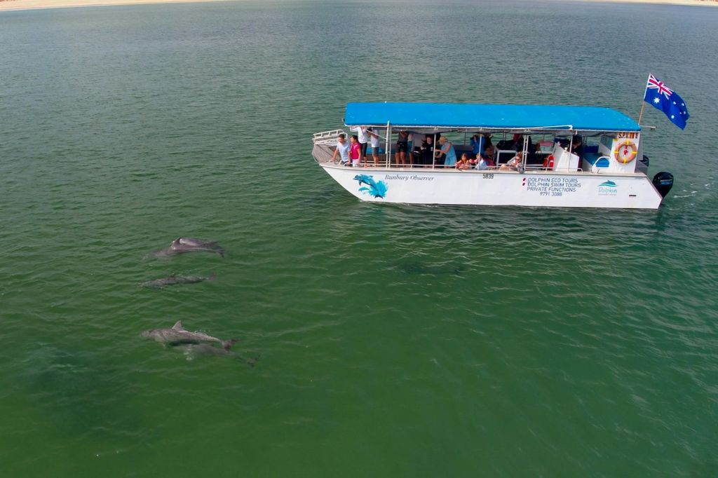 목적에 맞게 제작된 수영 투어 선박.