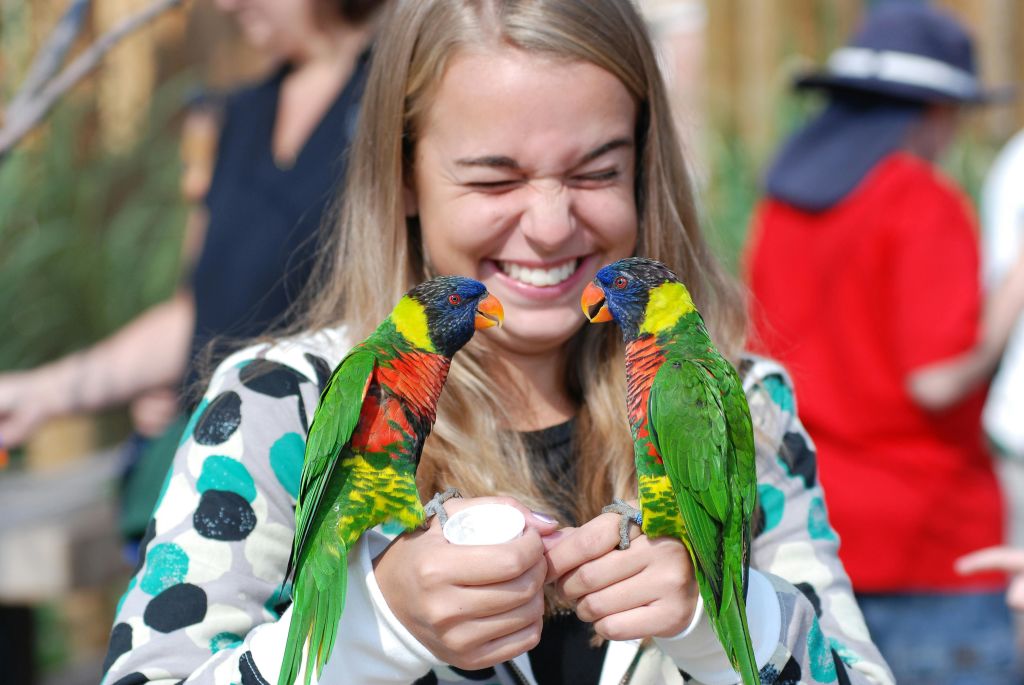 웃고 있는 젊은 여성이 화려한 앵무새 두 마리를 손에 들고 있으며, 배경에는 흐릿한 사람들이 있습니다.