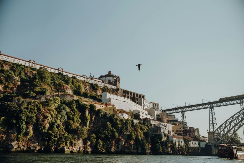 건물이 있는 언덕과 다리를 배경으로 하늘을 나는 새가 있습니다.