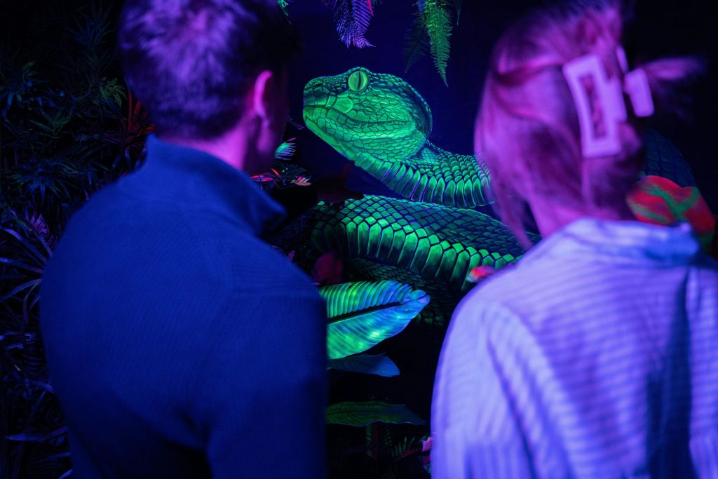 이코노 마드리드