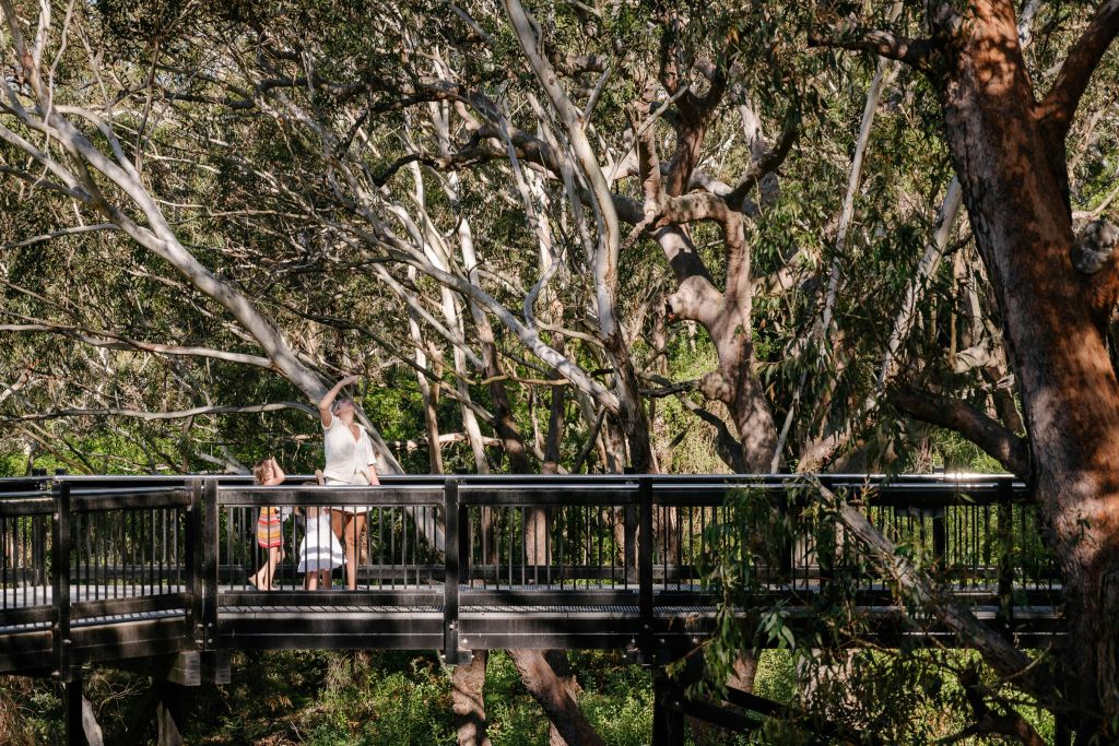 포트 스티븐스 코알라 보호구역