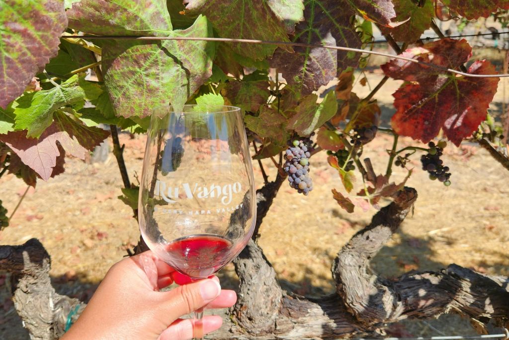 루방고 와이너리