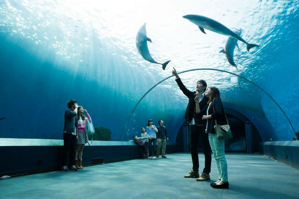 요코하마 핫케이지마 씨 파라다이스