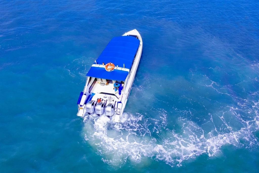 쾌적한 스피드보트를 타세요.