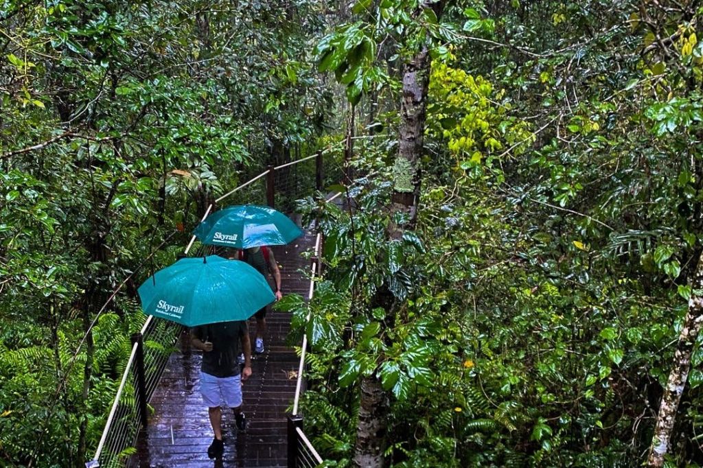 스카이레일 레인포레스트 케이블웨이 인바운드 반환