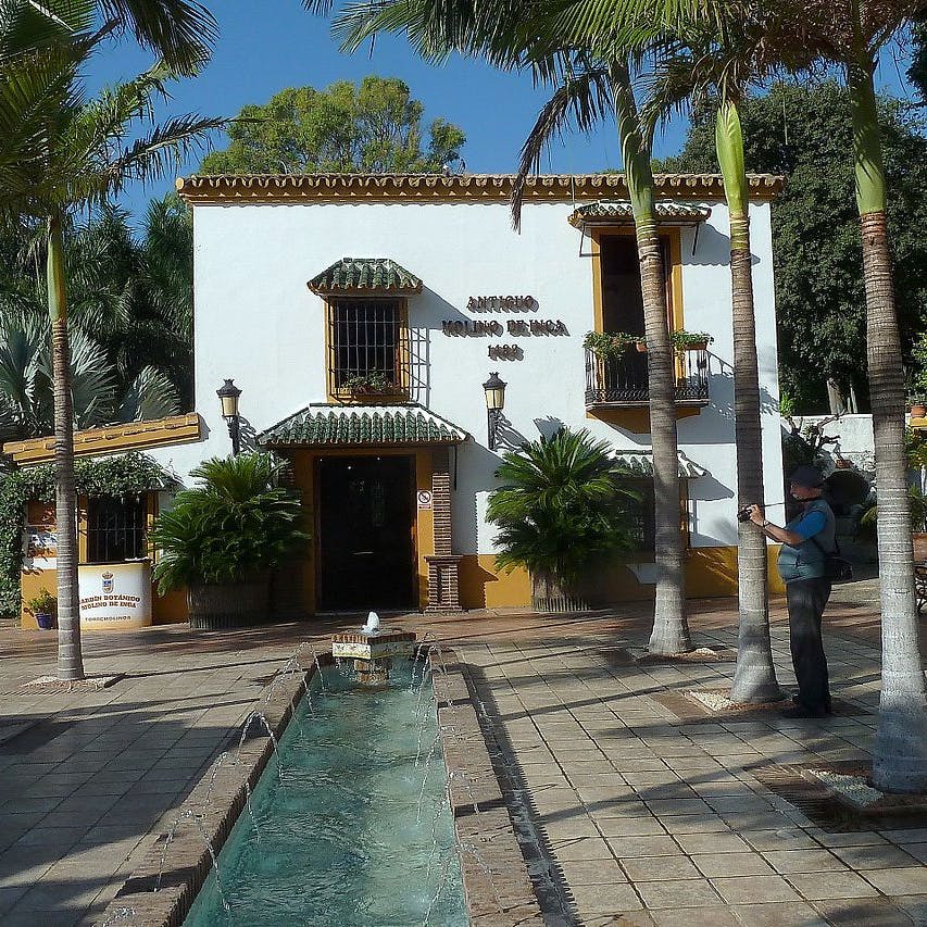 녹색 테두리가 있는 흰색 2층 건물과 야자수로 둘러싸인 좁은 수로가 있는 타일 마당.