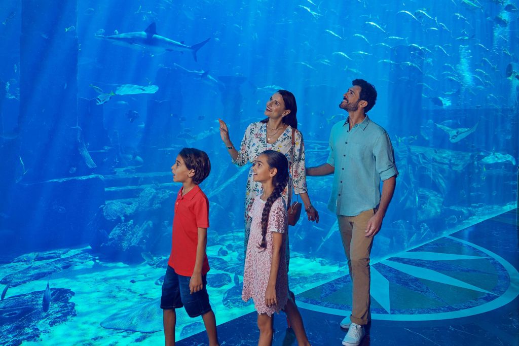 아틀란티스 더 팜 - 앰배서더 라군 투어