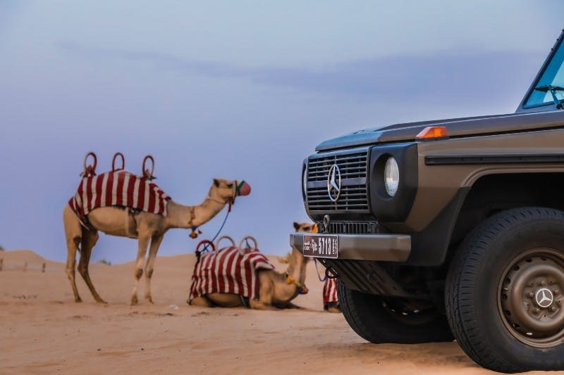 붉은 줄무늬 담요를 두른 메르세데스 SUV와 낙타 두 마리가 맑은 하늘 아래 모래 사막에서 휴식을 취하고 있습니다.
