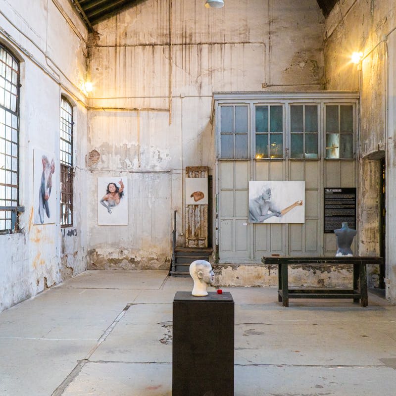 부실한 벽에 초상화가 걸린 미술관, 받침대 위에 조각상, 탁자 위에 마네킹 상체가 놓여 있습니다.