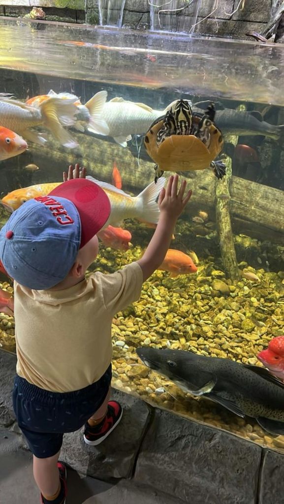 빨간 모자를 쓴 어린이가 바위 바닥 너머로 알록달록한 물고기와 거북이가 가득한 유리 수족관을 향해 손을 들고 있습니다.