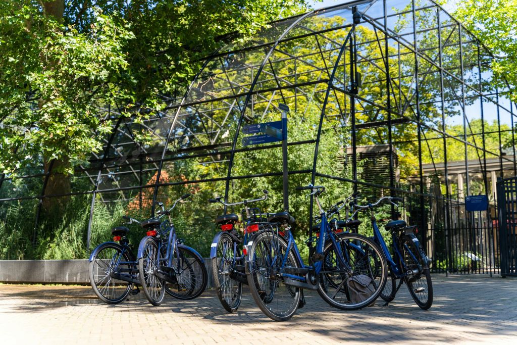 암스테르담: 소그룹 가이드 자전거 투어