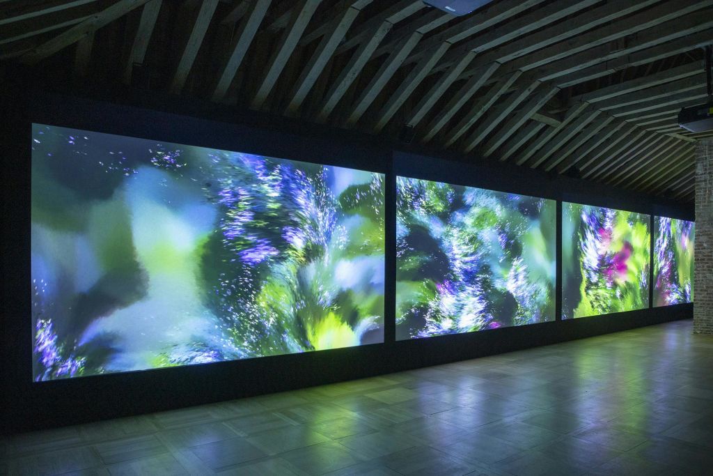 디지털 갤러리, 콰욜라