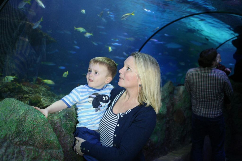 아이를 안고 있는 한 여성이 다양한 물고기가 가득한 수족관 터널에서 수중 생물을 바라보고 있습니다.