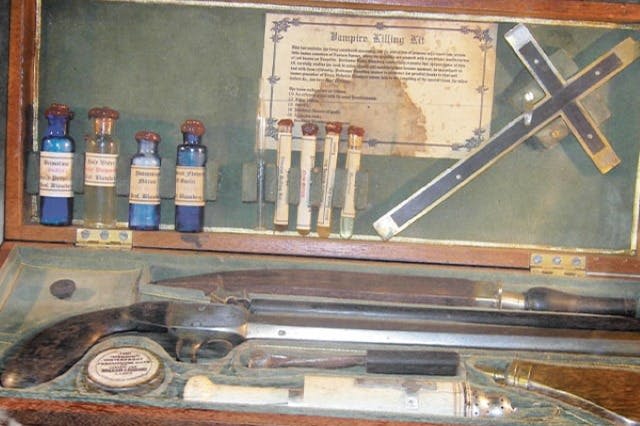 리플리 아쿠아리움 오브 더 스모키즈 + 2 ~ 3곳의 추가 관광명소