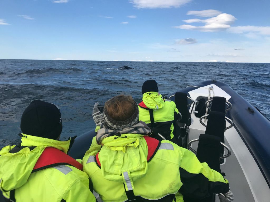 배에 네온 재킷을 입은 사람들이 부분적으로 흐린 하늘 아래 바다에서 고래를 보고 있습니다.