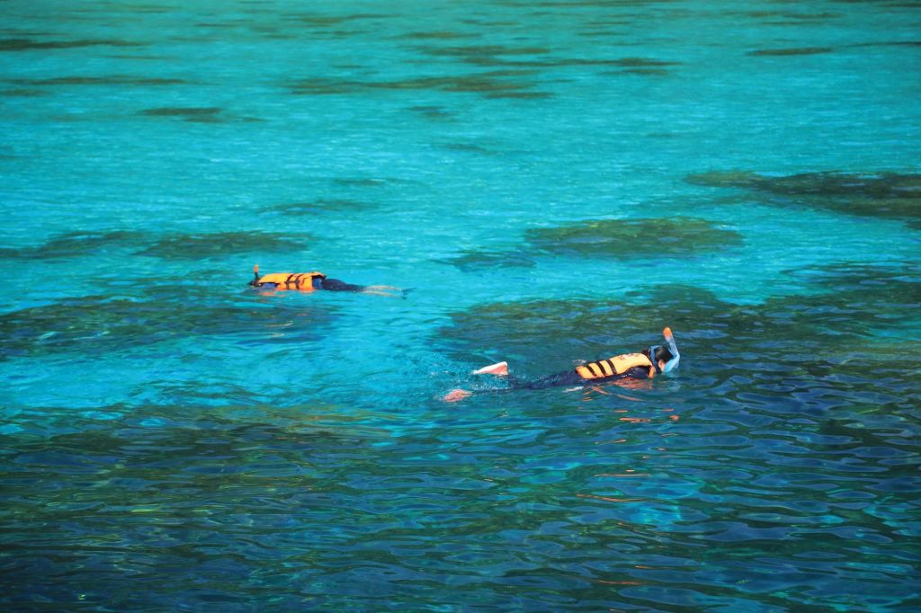 스노클링과 수중 낙원 탐방