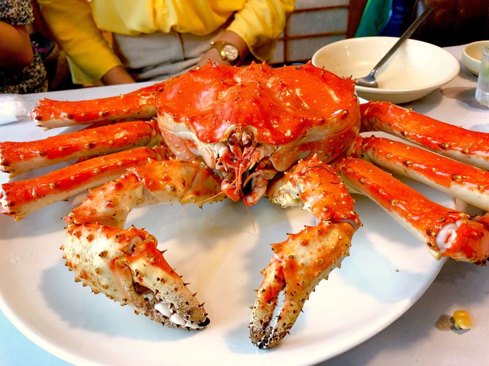 속초 대게 마을