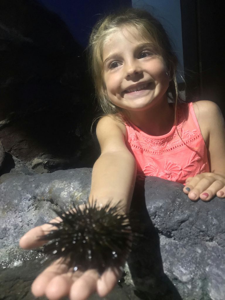 분홍색 드레스를 입은 미소 짓는 어린 소녀가 조명이 희미한 분위기에서 바위 옆에 서서 성게를 들고 있습니다.