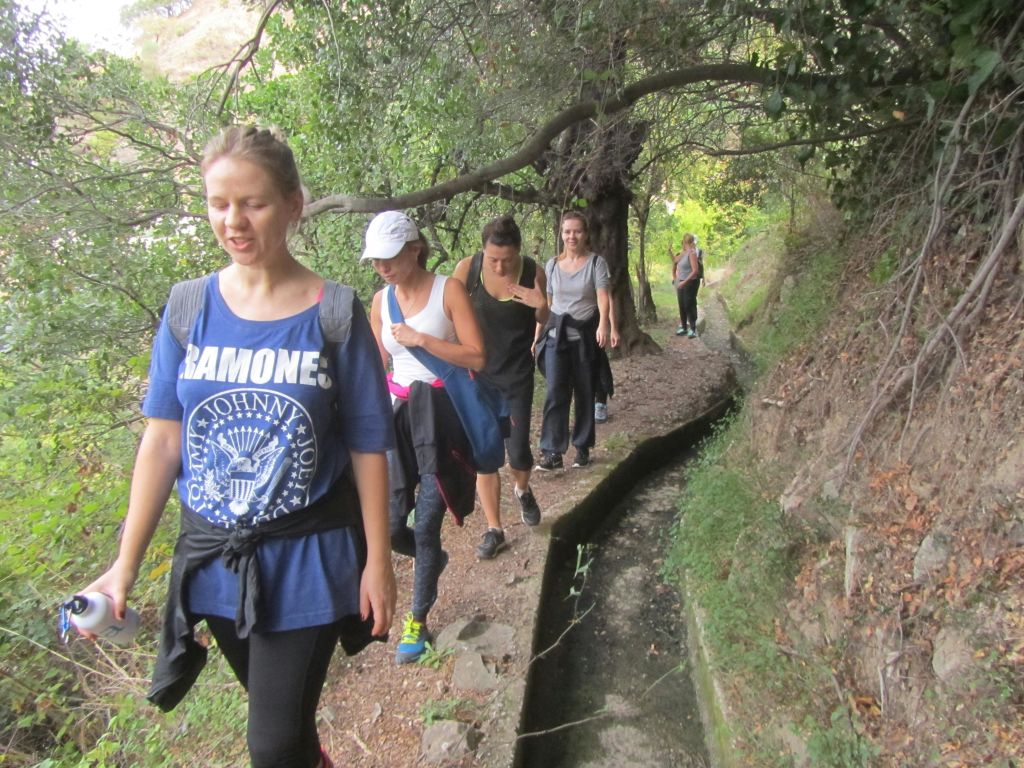 푸른색 라몬 셔츠를 입은 여성이 이끄는 숲이 우거진 좁은 등산로를 따라 하이킹하는 사람들입니다.