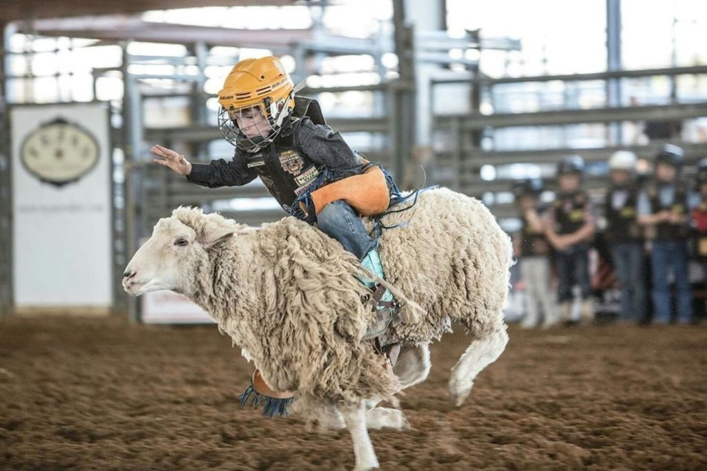 Mutton Bustin '