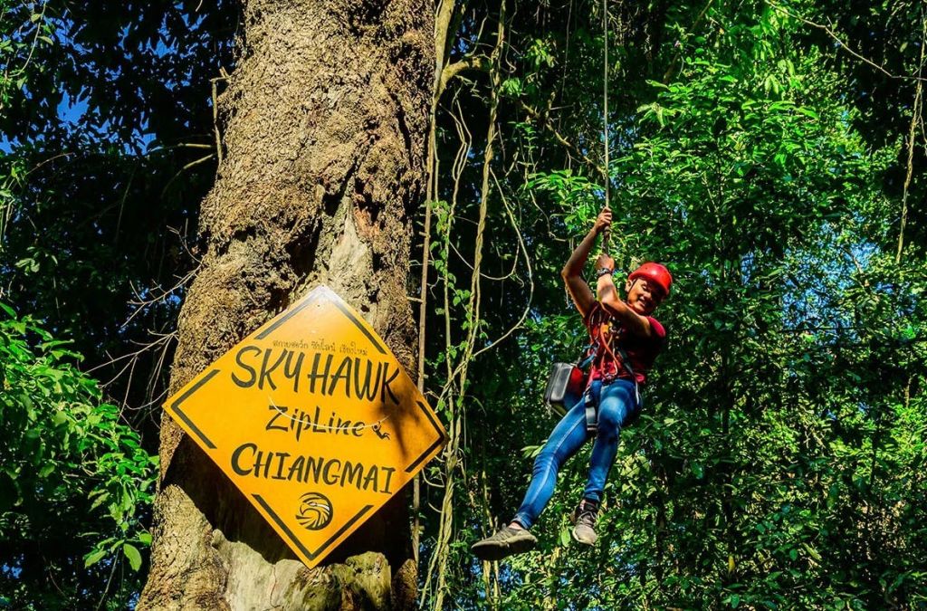 "Sky Hawk Zipline Chiangmai" 라고 적힌 표지판이 있는 나무 근처에서 안전 장비를 착용하고 지퍼를 짚고 있는 사람.