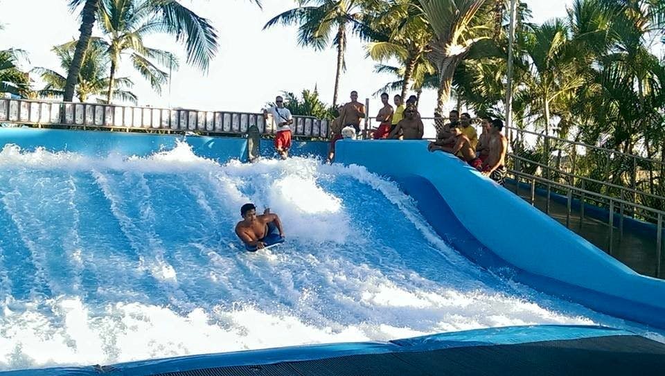 푸른 물결을 타고 파도를 타는 한 남성이 화창한 날 야자수 아래에서 옆에서 여러 사람이 지켜보고 있습니다.
