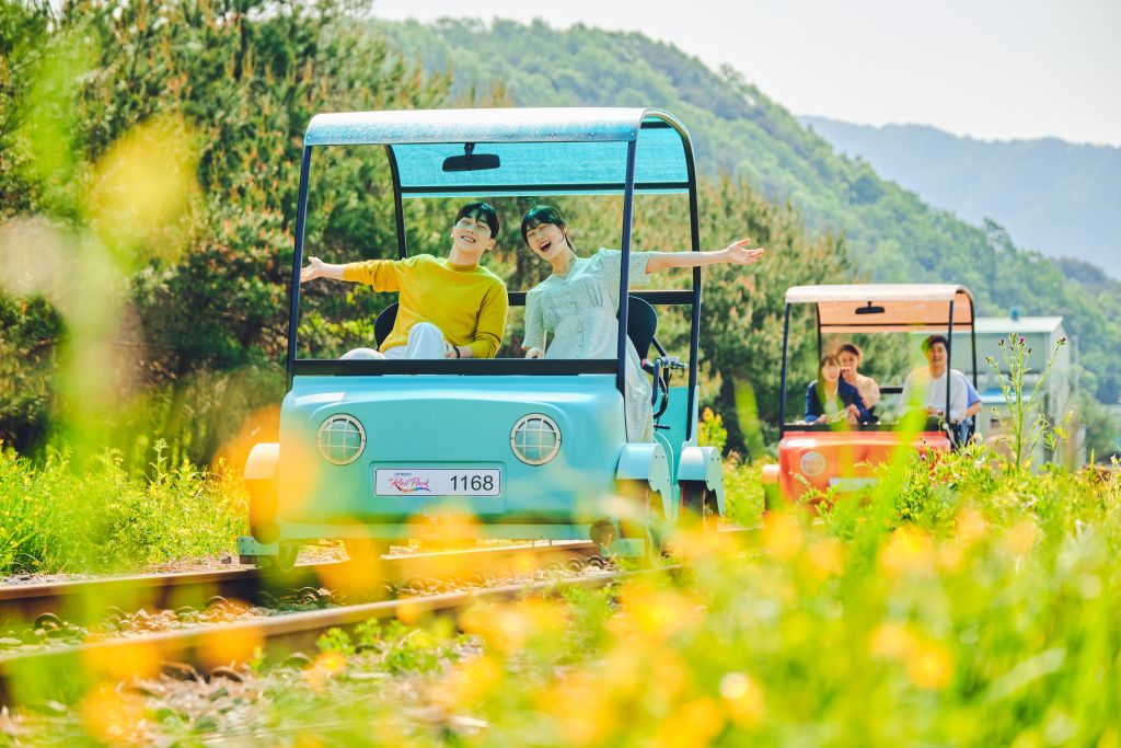 Nami Island + Gangchon Rail Bike + Garden of Morning Calm