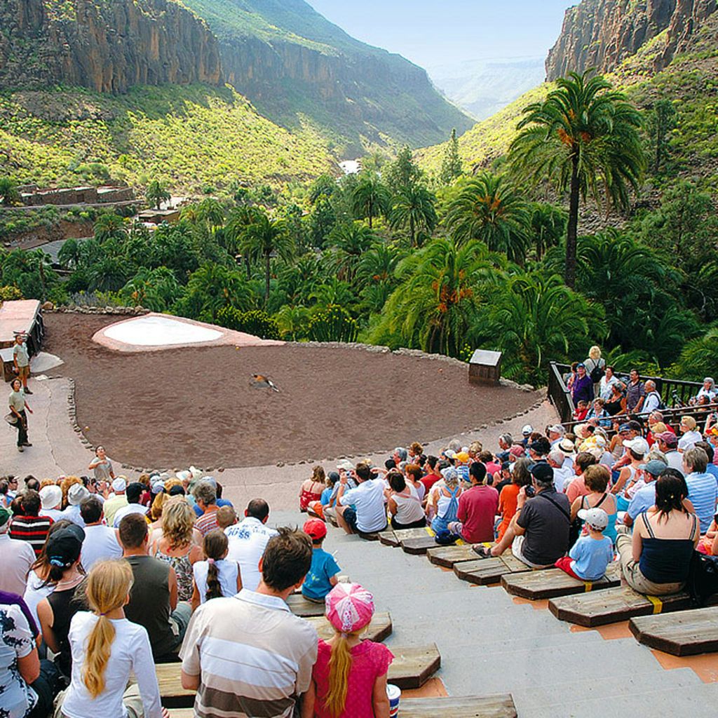 울창한 녹음과 산으로 둘러싸인 야외 원형극장에서 많은 관객이 공연을 관람하고 있습니다.