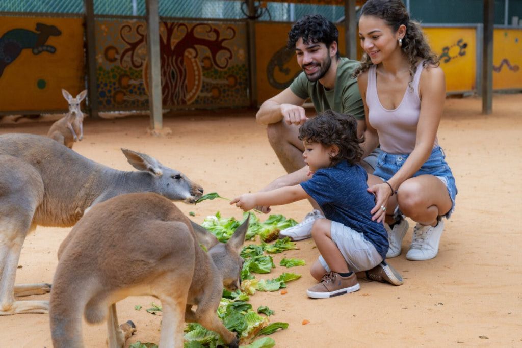 캥거루 크로싱 체험을 즐기는 가족.