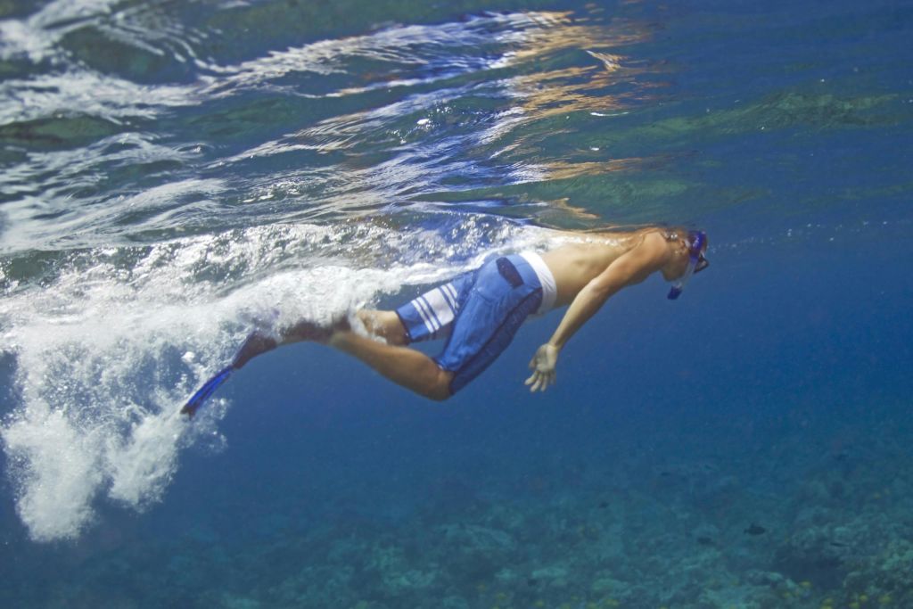 수영 트렁크와 스노클링 장비를 착용하고 아래에 산호가 보이는 맑고 푸른 물에서 스노클링을 즐기는 사람.