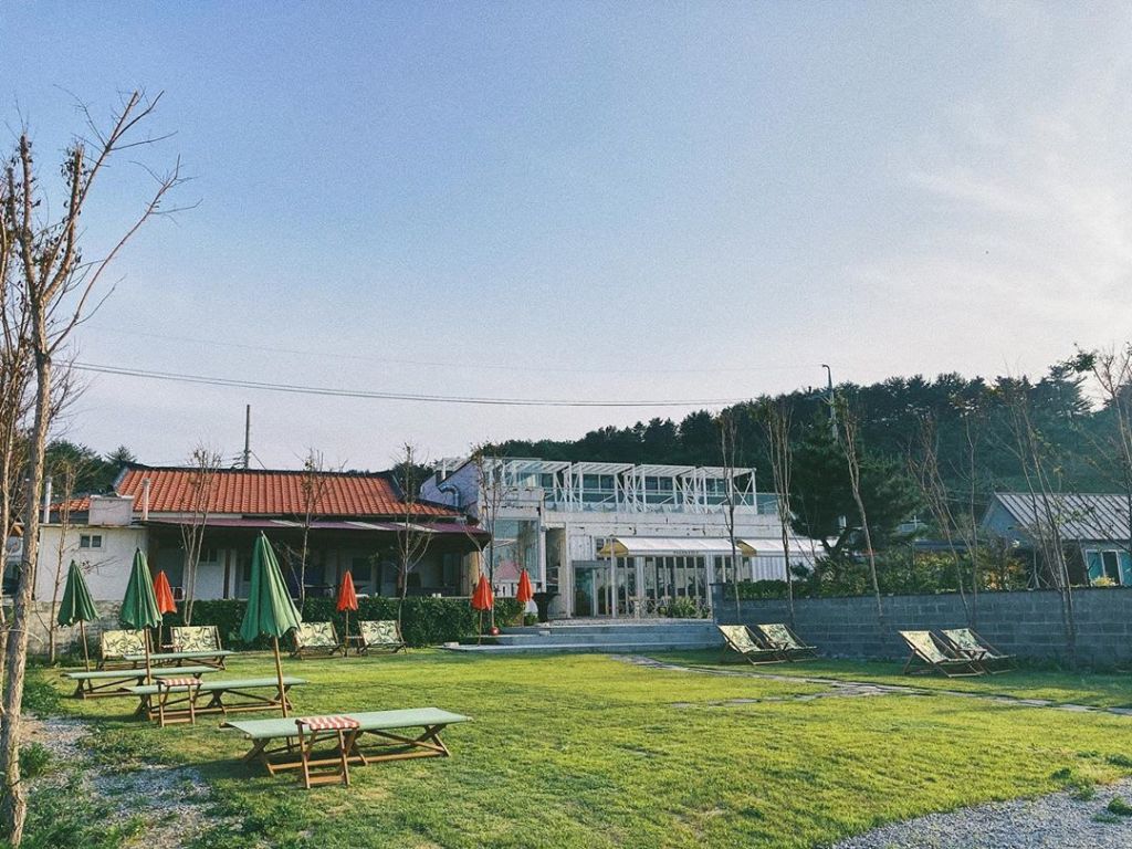 파마씨