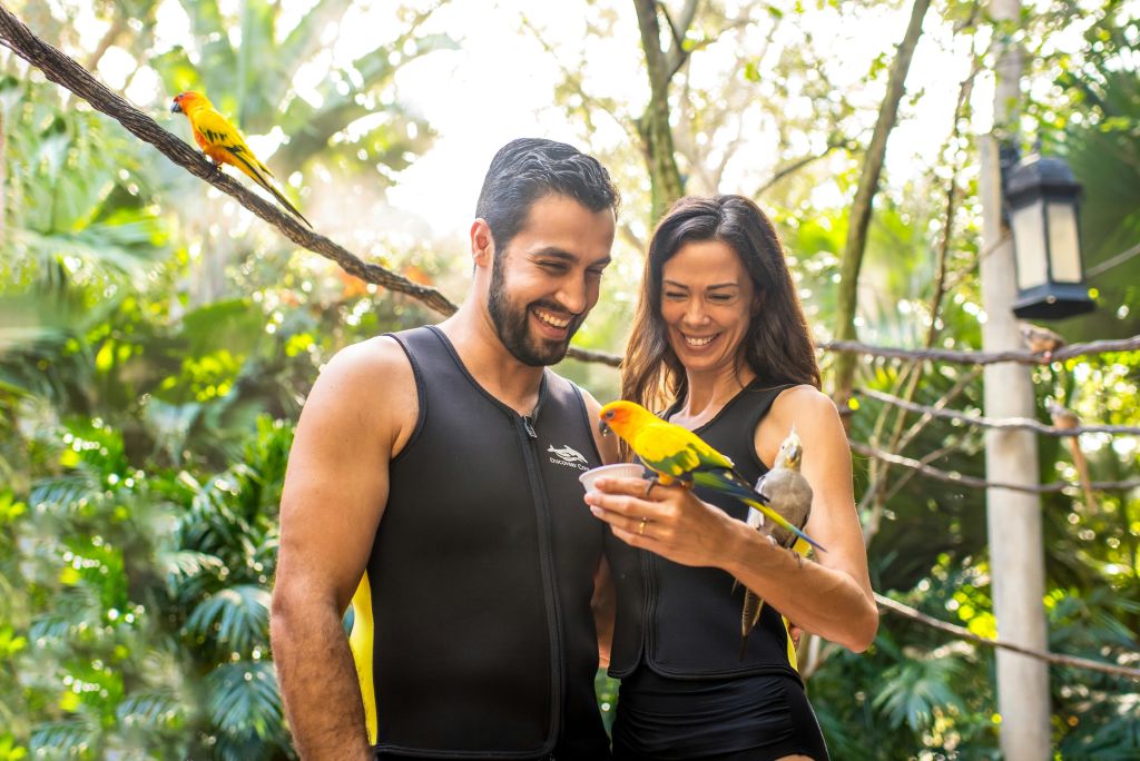 잠수복을 입은 미소 짓는 남녀가 푸른 단풍이 우거진 야외 환경에서 다채로운 앵무새를 잡고 있습니다.