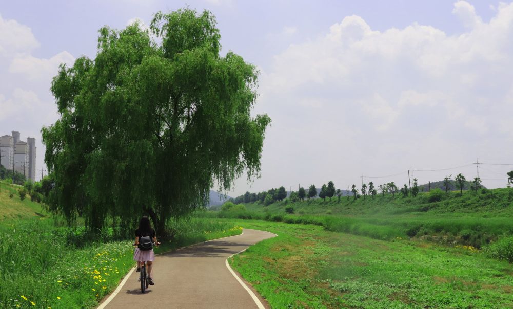 정안천 생태 공원