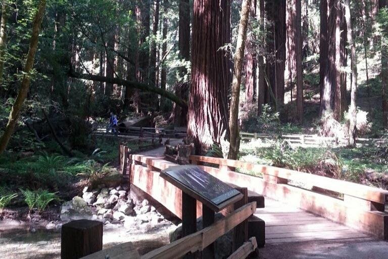 뮤어우즈국립기념물