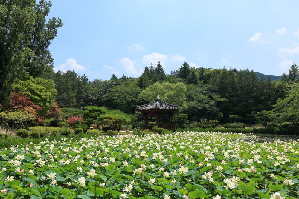 보문정