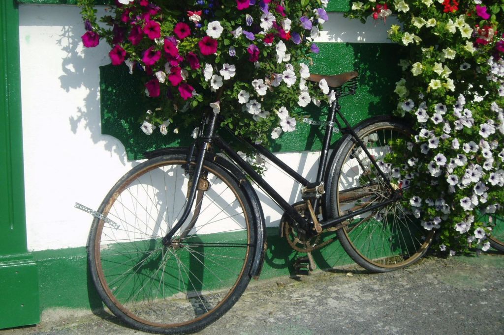 아일랜드 음악의 밤