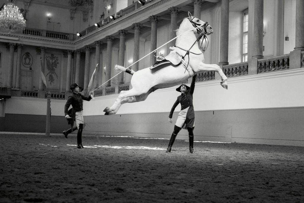 유니폼을 입은 두 사람이 화려한 실내 경기장에서 뒷다리로 백마를 기르며 공연을 펼치고 있습니다.