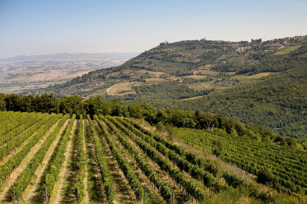 몬탈치노 와인 타운 전망