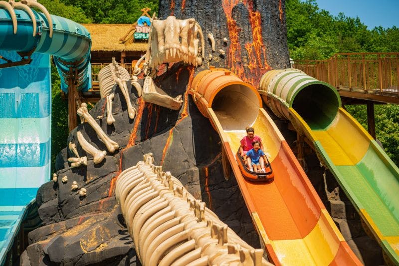 DinoSplash