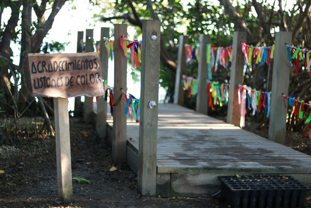 만딩카 컬러 리본