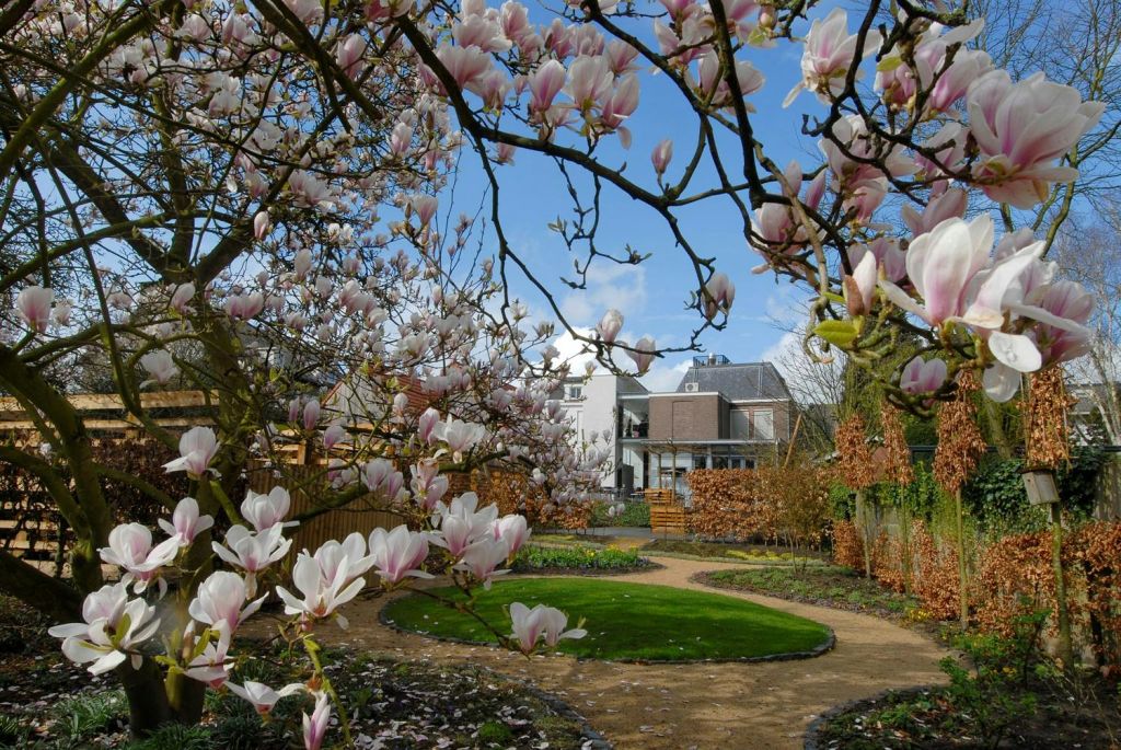 원형의 잔디가 우거진 울창한 정원, 꽃이 피는 목련나무, 주택을 배경으로 이어지는 자갈길.