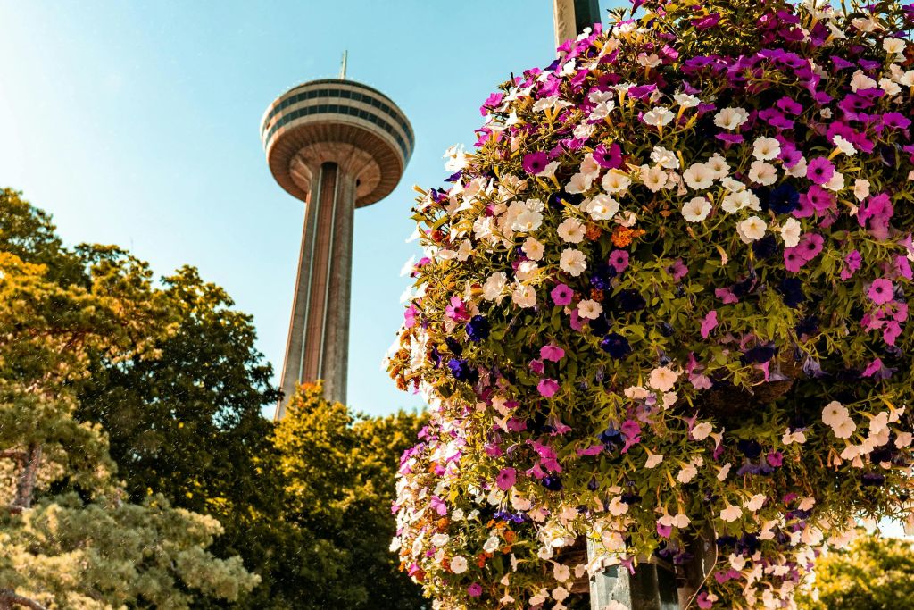 맑은 하늘을 배경으로 원반 모양의 꼭대기가 있는 높은 전망대, 전경에는 화려한 꽃이, 그 아래에는 나무가 있습니다.