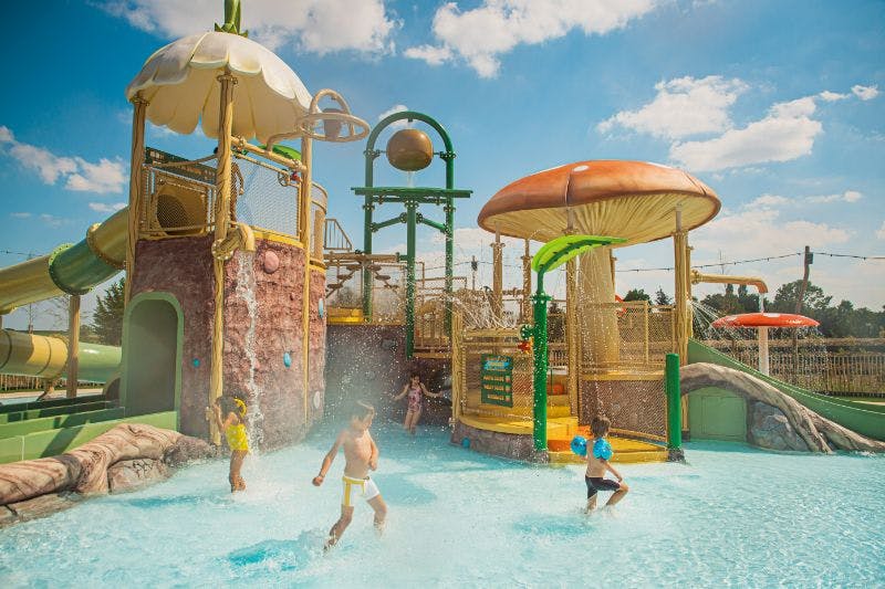 플롭사쿠아란덴하누이트