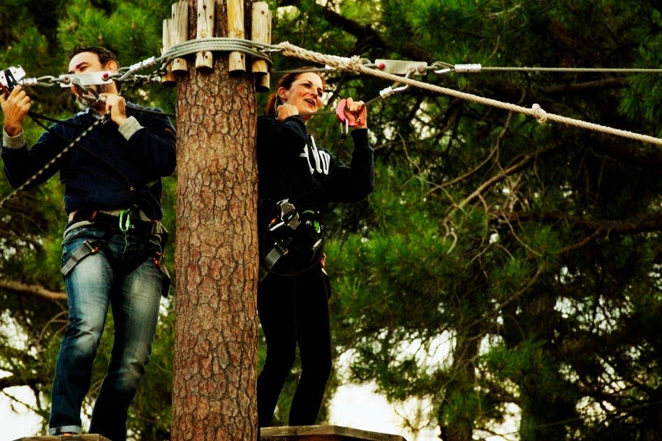 지롤리나스 고 알리칸테 어드벤처 파크 나무