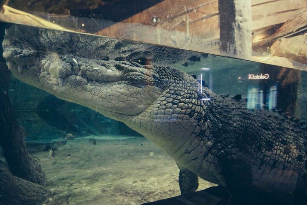 에마르 수족관 & 수중 동물원