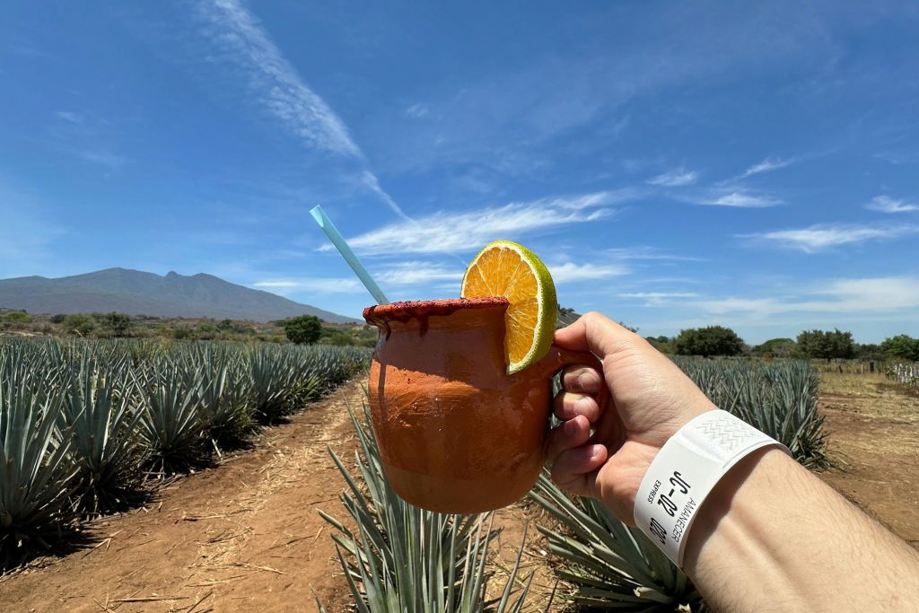 호세쿠에르보 테킬라 증류소 투어