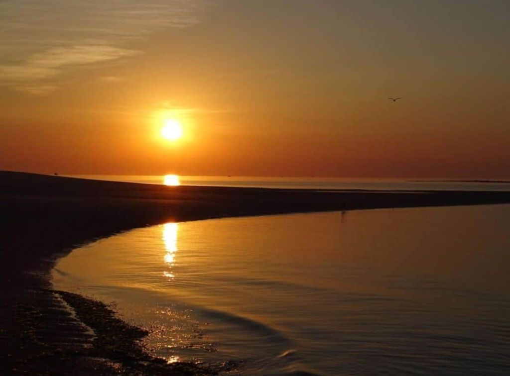 부드럽게 구부러진 해안선, 물가에 반사된 햇살, 하늘의 고독한 새가 있는 고요한 해변에서 노을을 감상해보세요.